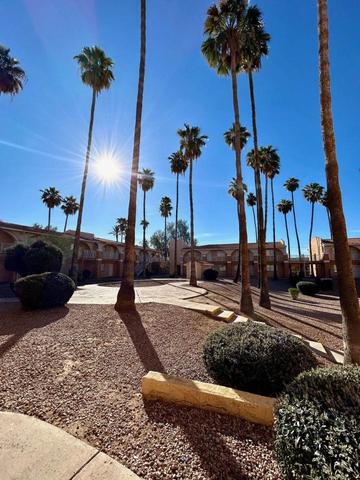 2990 W Thunderbird Rd #321, Phoenix, AZ 85053