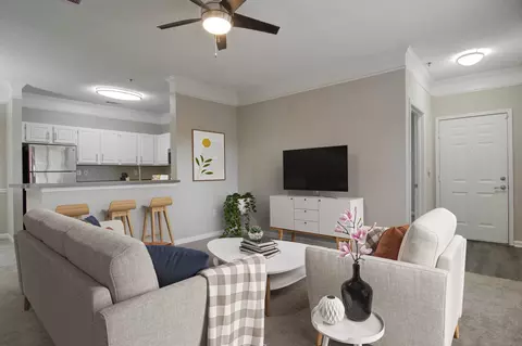 2910 Buford Dr #0419, Buford, GA 30519