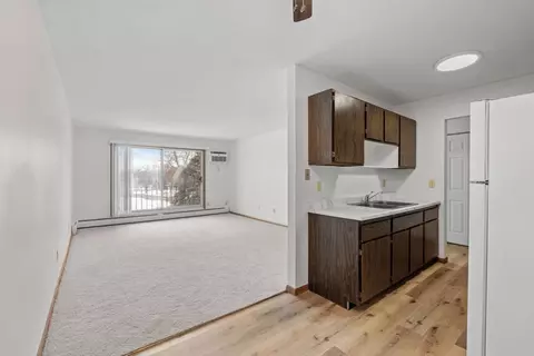 4601 Shoreline Dr #101, Spring Park, MN 55384 photo 5