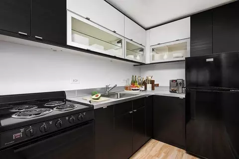 3130 N Lake Shore Dr #1616, Chicago, IL 60657