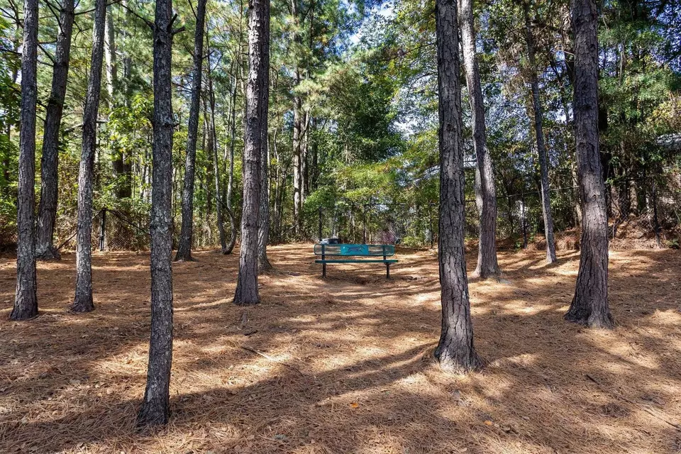  3355 Sweetwater Rd #10308, Lawrenceville, GA 30044 photo 14