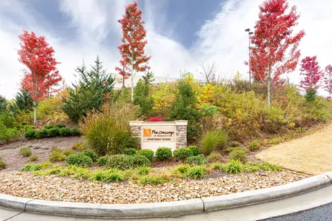 117 Dawson Ave #6230, Dawsonville, GA 30534