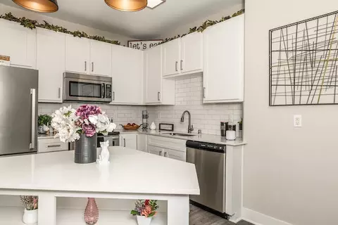 17807 Lakecrest View Dr #08203, Cypress, TX 77433