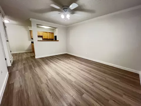 1329 W Mary St #BOU-215, Austin, TX 78704