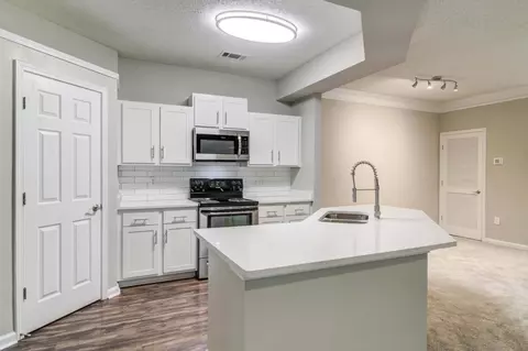 1 Sycamore Ln #501204, Woodstock, GA 30188