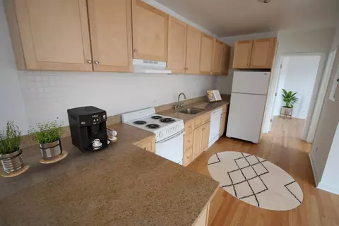 1350 E 53rd St #5238-001, Chicago, IL 60615