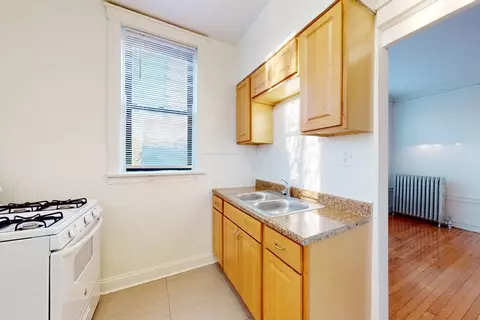 5128 S Cornell Ave #5132-3, Chicago, IL 60615