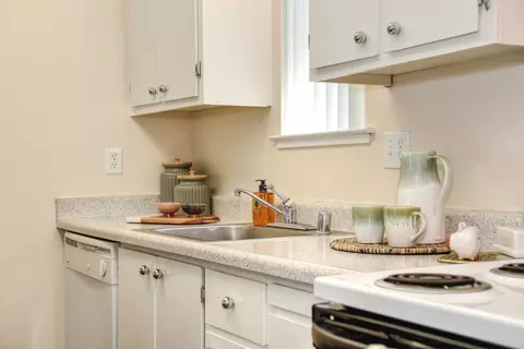 3000 Lillard Dr #258, Davis, CA 95618 photo 10