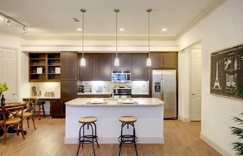 10441 Spring Green Blvd #910, Katy, TX 77494