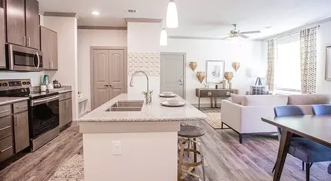 12500 Shadowglen Ter #11308, Manor, TX 78653