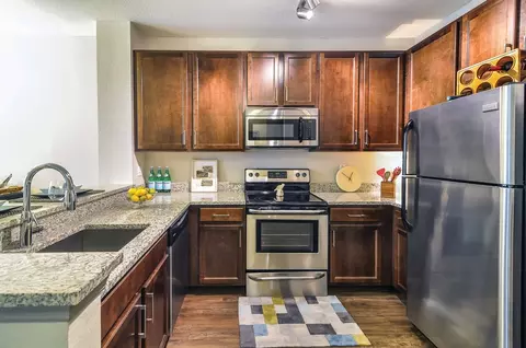 871 Ibis Walk Pl N #309, Saint Petersburg, FL 33716