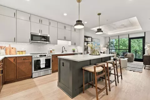 510 W Tremont Ave #204, Charlotte, NC 28203