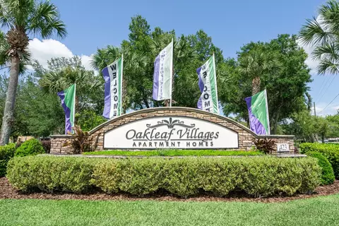 423 Highway 466 #20306, Lady Lake, FL 32159