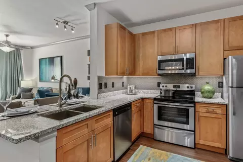 4777 Memorial Dr #131, The Colony, TX 75056