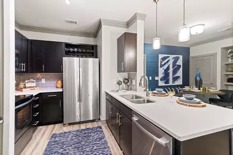 6300 Fm 423 #18217, Frisco, TX 75036