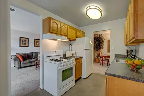 14120 Weeping Willow Dr #330432, Silver Spring, MD 20906 photo 8