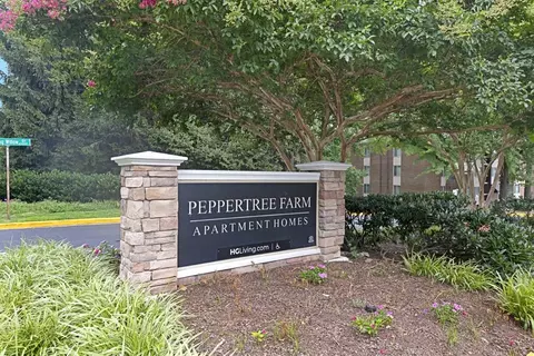 14120 Weeping Willow Dr #330432, Silver Spring, MD 20906 photo 33