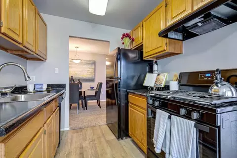 14120 Weeping Willow Dr #330432, Silver Spring, MD 20906 photo 5