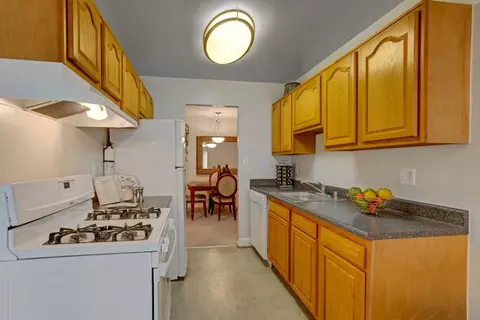 14120 Weeping Willow Dr #330432, Silver Spring, MD 20906 photo 10