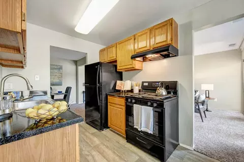 14120 Weeping Willow Dr #330432, Silver Spring, MD 20906 photo 6