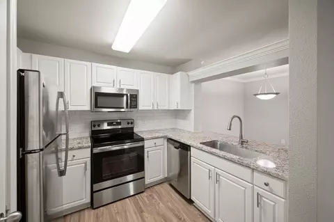 10000 Broadway St #01-1431, Pearland, TX 77584