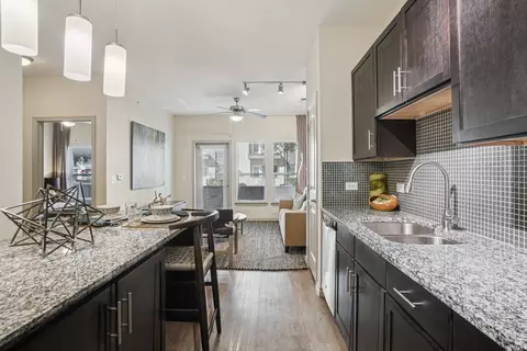 11700 Luna Rd #10206, Farmers Branch, TX 75234