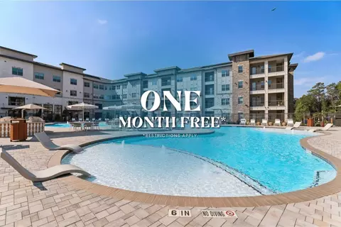 14701 Vintage Preserve Pkwy #6406, Houston, TX 77070