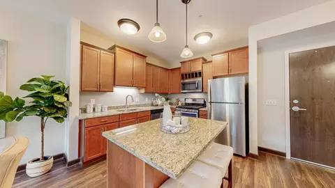 1699 Stieger Lake Ln #406, Victoria, MN 55386