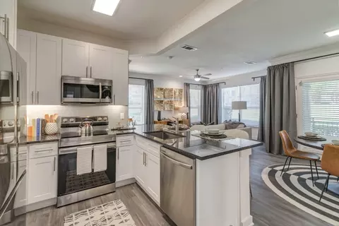 8205 Towne Main Dr #1611, Plano, TX 75024