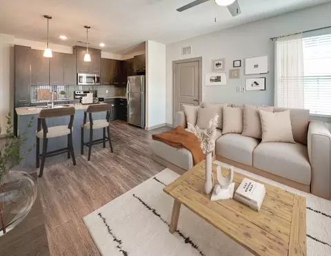 149 N Bagdad Rd #11203, Leander, TX 78641
