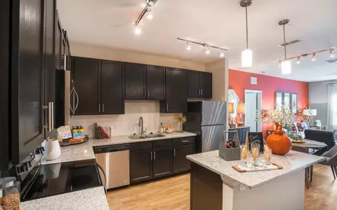 9104 Canopy Oak Ln #9106-201, Riverview, FL 33578