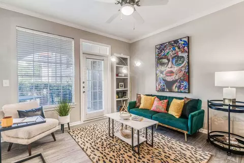1011 Wonder World Dr #1709, San Marcos, TX 78666
