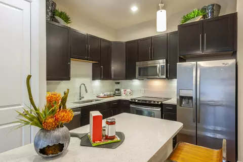 801 Town And Country Ln #303, Houston, TX 77024