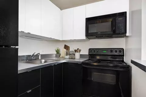 1000 N Lasalle Blvd #205, Chicago, IL 60610