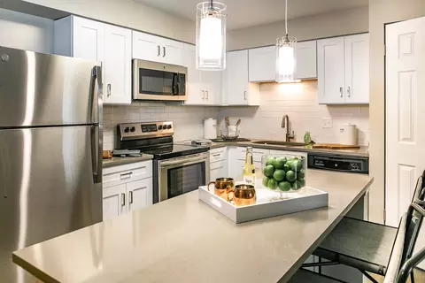 970 Fairway Dr #1010-102, Naperville, IL 60563