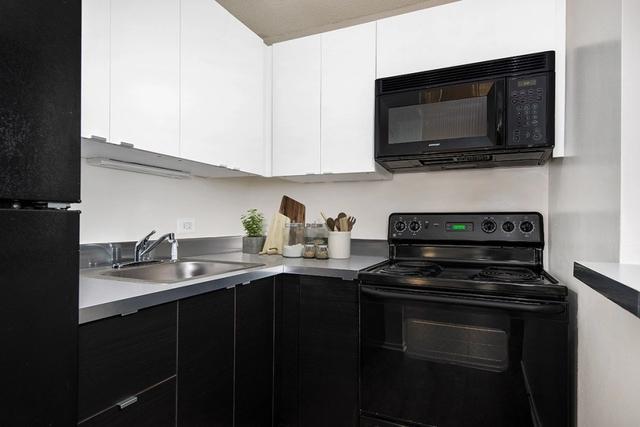 1000 N Lasalle Blvd #519, Chicago, IL 60610