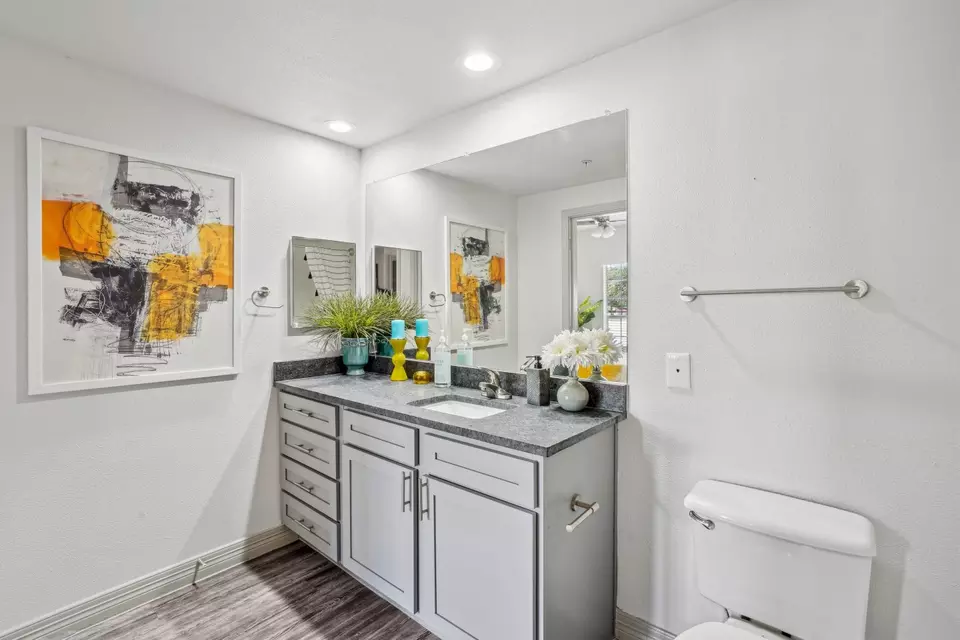  941 Hesters Crossing Rd #3013, Round Rock, TX 78681 photo 4