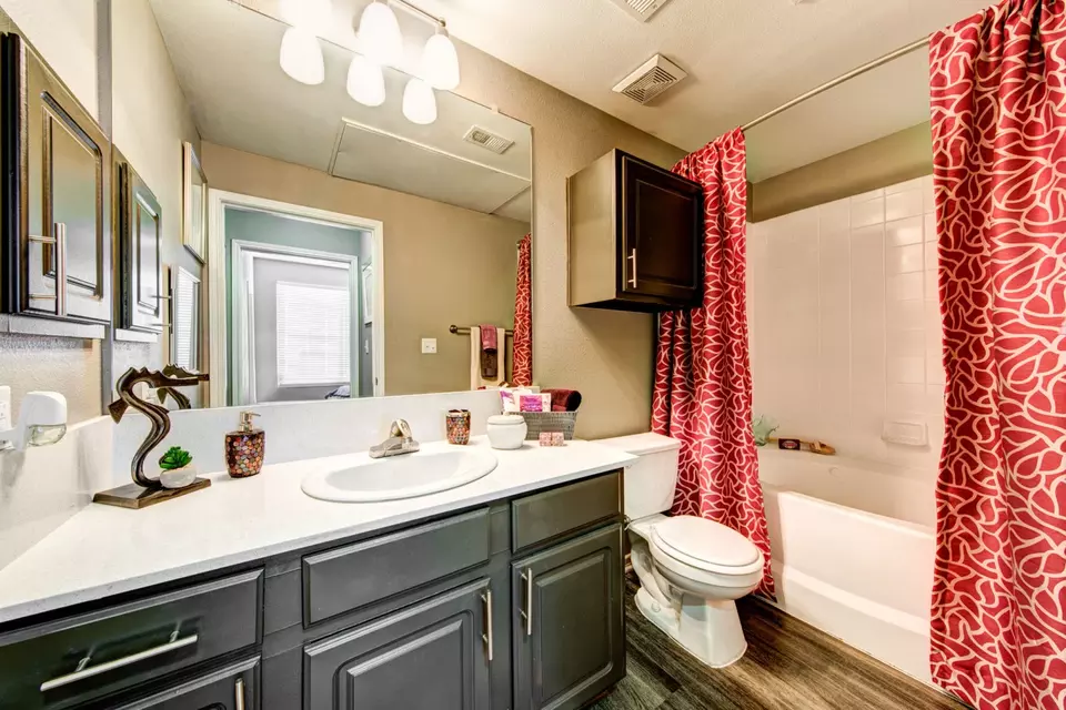  670 Louis Henna Blvd #1510, Round Rock, TX 78664 photo 25
