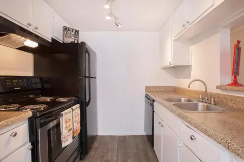 12800 Dunlap St #10-1003, Houston, TX 77085