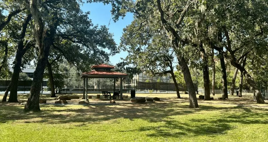  9550 Ella Lee Ln #2006, Houston, TX 77063 photo 30