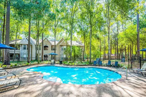 1481 Sawdust Rd #01-0317, The Woodlands, TX 77380