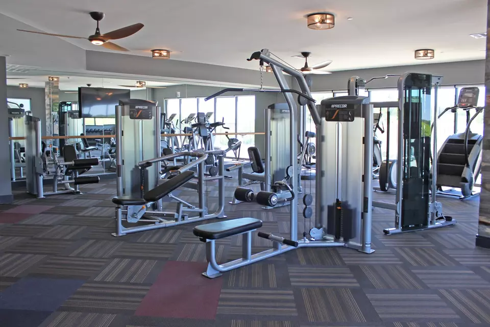  50 Middletown Rd #229, Media, PA 19063 photo 14