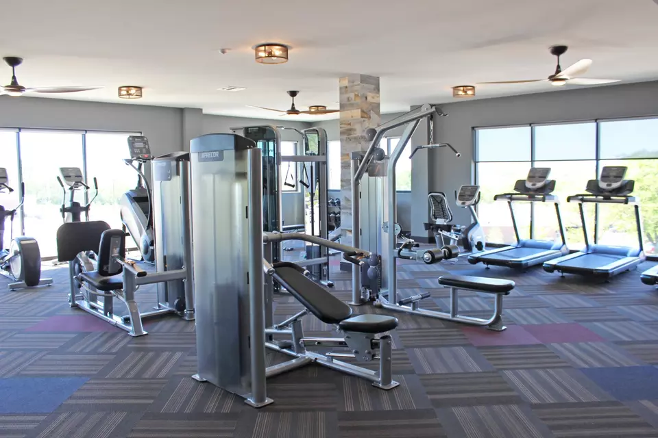  50 Middletown Rd #229, Media, PA 19063 photo 13