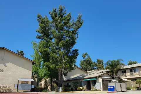 230 E Fallbrook St #2323, Fallbrook, CA 92028 photo 22