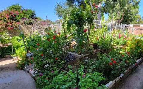 230 E Fallbrook St #2323, Fallbrook, CA 92028 photo 16