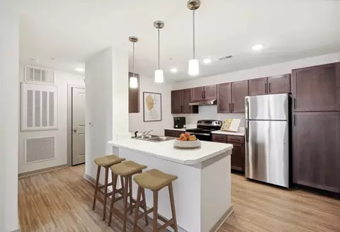 1501 Amethyst Crest Way #4-6207, Apex, NC 27502