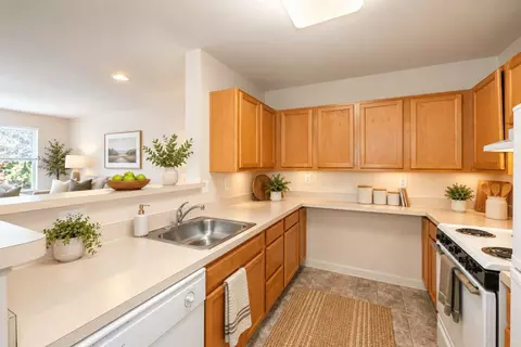 1900 Grove Manor Dr #313, Essex, MD 21221