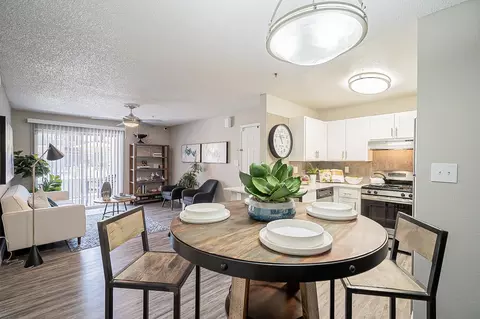 3802 E Baseline Rd #2004, Phoenix, AZ 85042 photo 7