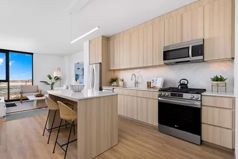 513 S Damen Ave #2206, Chicago, IL 60612