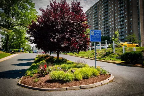 1818 Metzerott Rd #1814044, Adelphi, MD 20783 photo 16